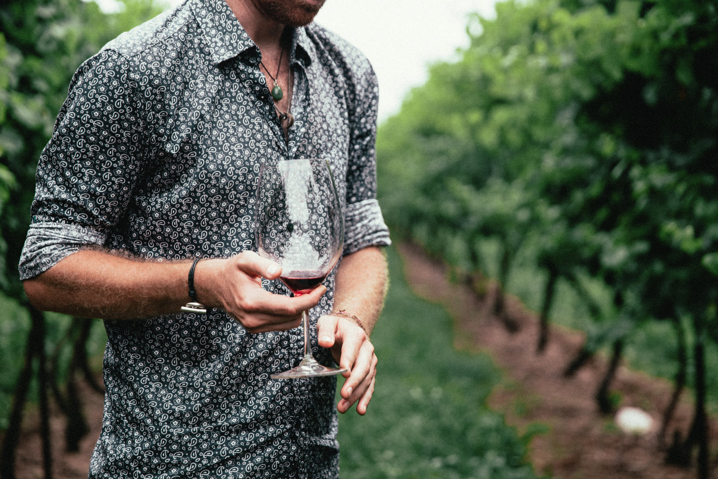 Northern Italy Tasting