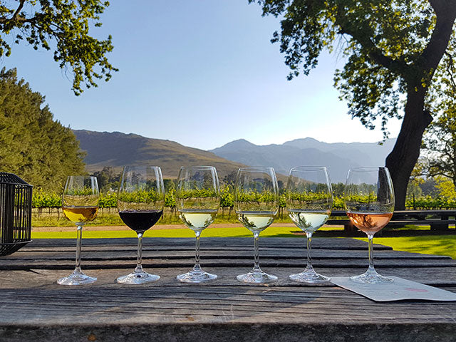 SOUTH AFRICA TASTING
